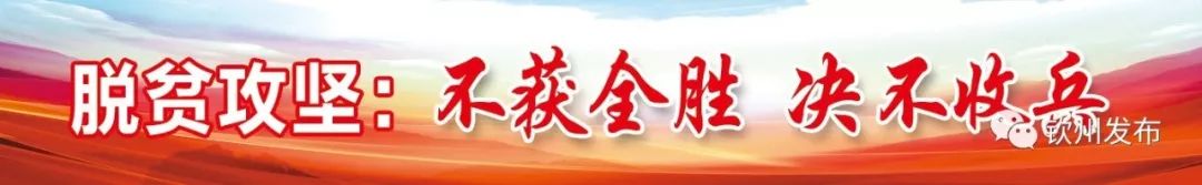 钦州运动会季军,钦州市喜报