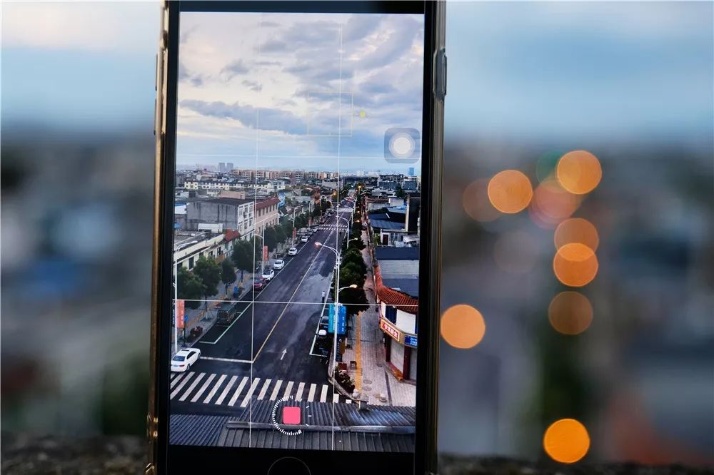 一年就一次！“羊羊”相遇，却馋哭了吃货……