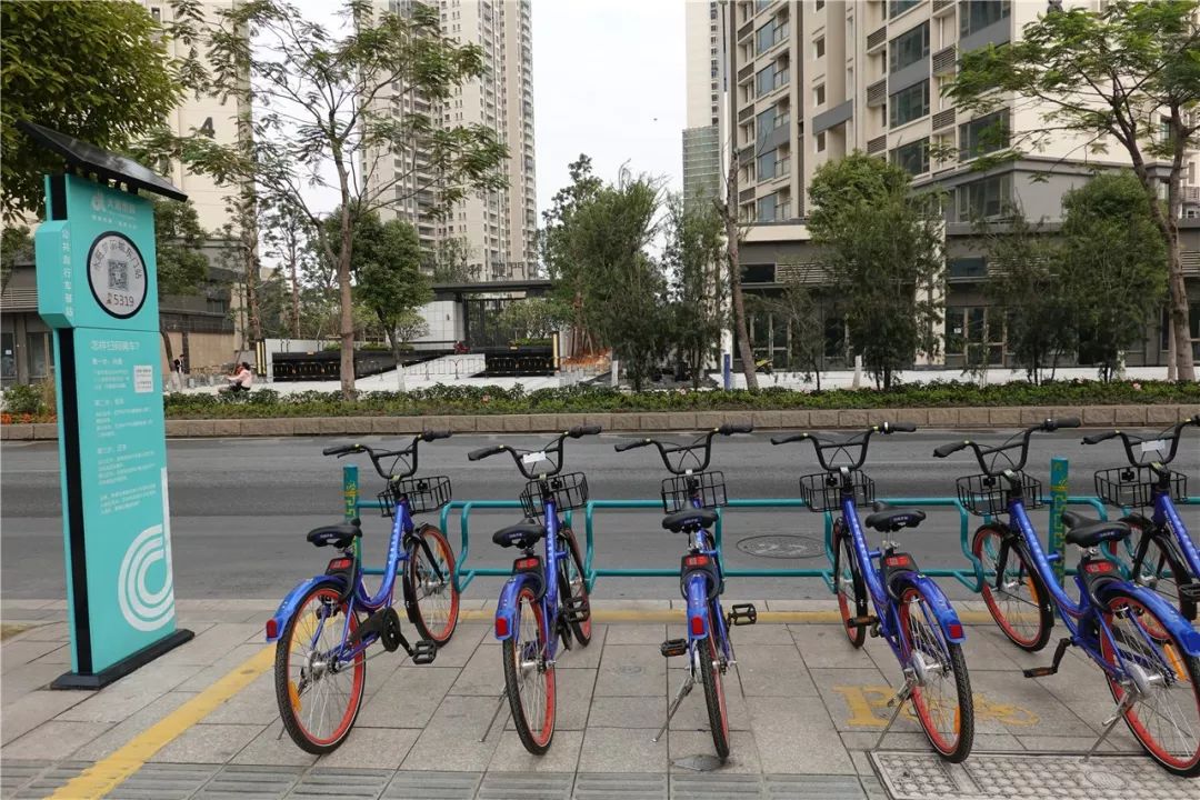 佛山大沥哪里有租车的,大沥附近哪里有租车的地方