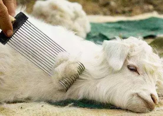 提升穿搭氛围感的秋冬围巾推荐,围巾选款看这里