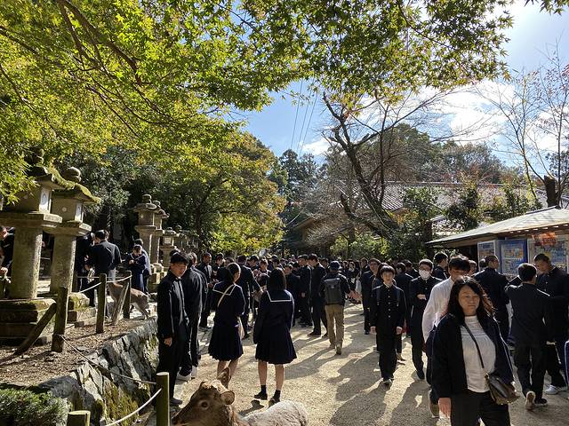 15天关西自由行,日本关东7日自由行