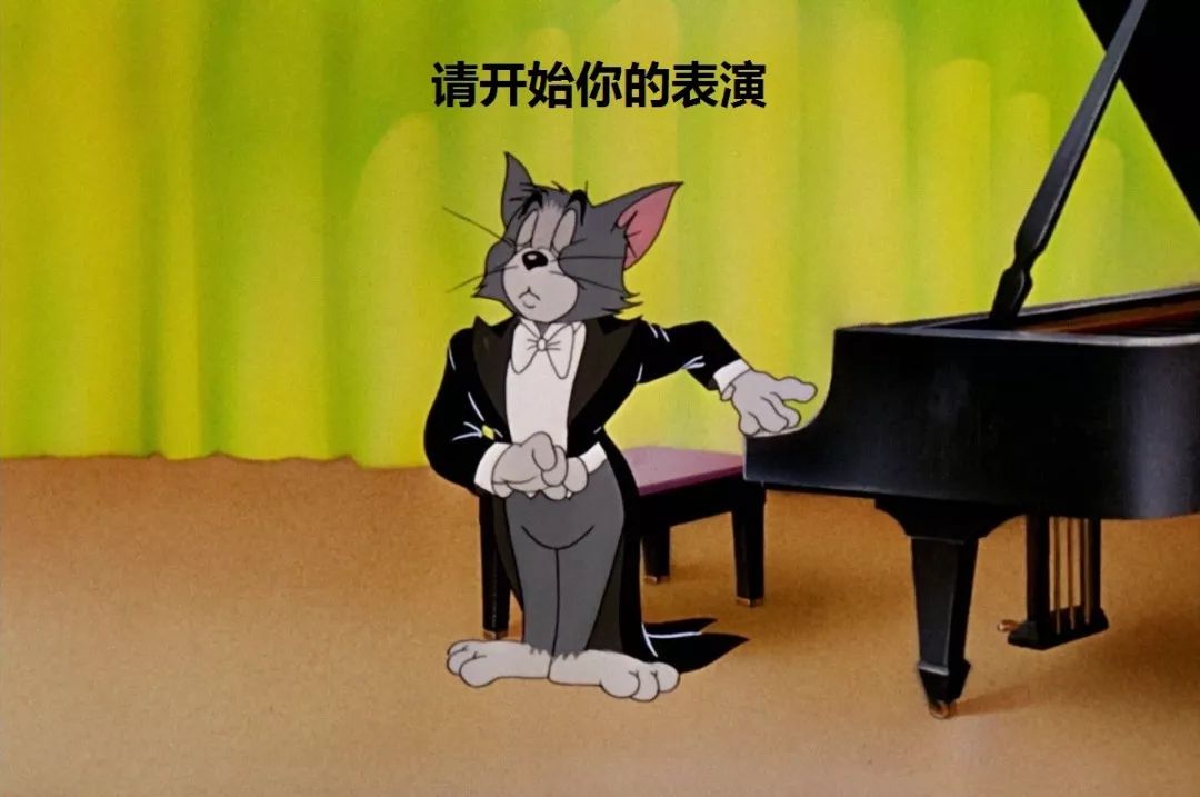 猫空中转体的动力学,猫空中转身的力学原理