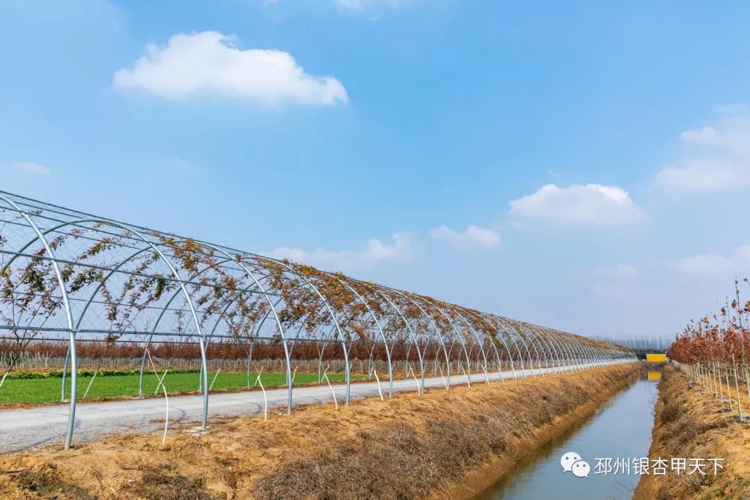 我的家乡发展状况,我的家乡发展有多好