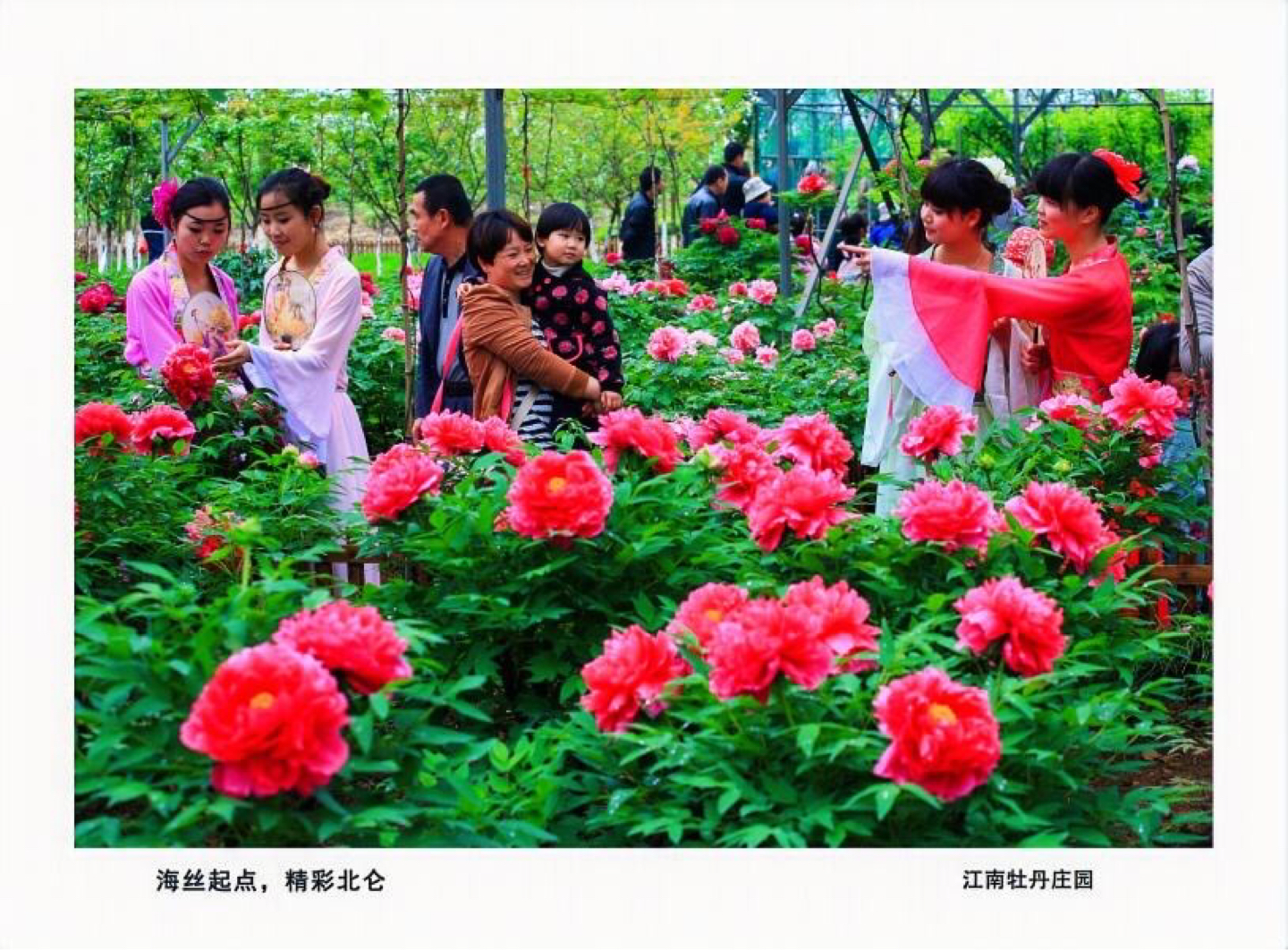 山、海、沙、港……这里有着离上海最近的海滩，它的名字叫北仑