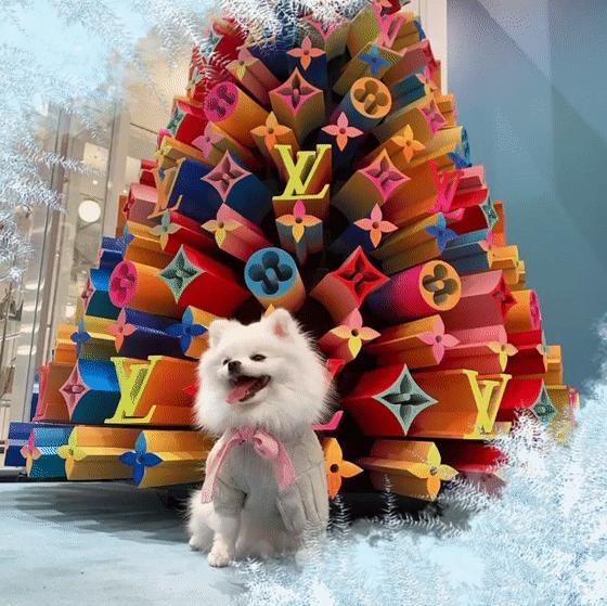 2022大牌圣诞限定,大牌奢侈品圣诞节打折