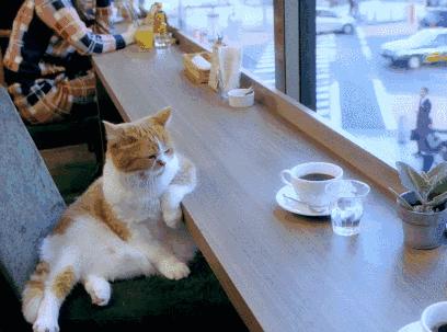 如果还能有「钱能买来的快乐」,那恭喜你