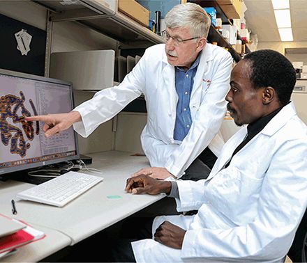 对外国科学家柯林斯是什么态度？服务过奥巴马，又被特朗普看上的他，领导NIH十年期间，都忙了些啥？