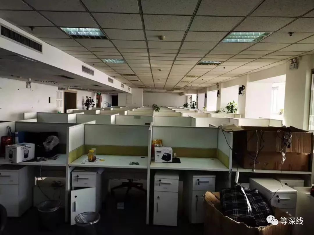 炒壳之王全新好“换脑大戏”