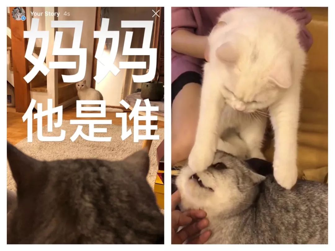 十一月好物种草,11月好物