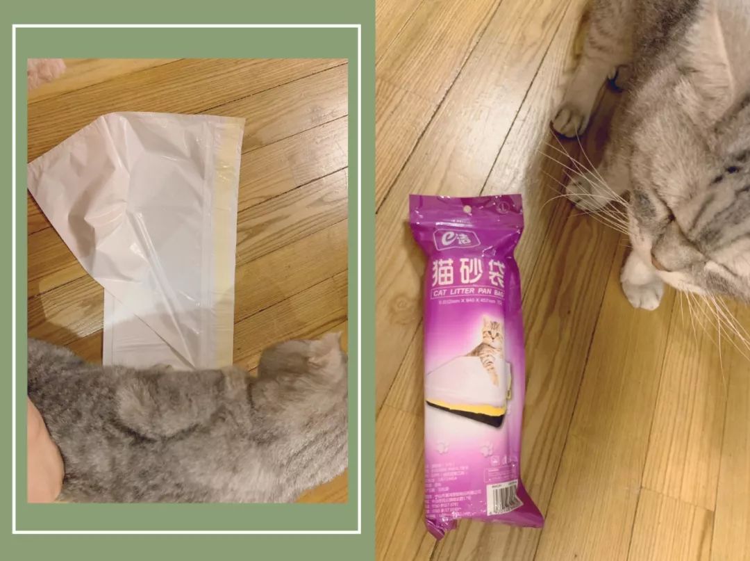 11月好物爆款,11月好物推荐最新爆款