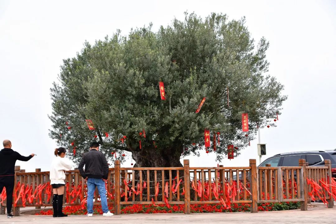 所有车主，低配不够好吗？奶爸车主sayno：就是看中了骏派D60的外观靓，好开省油，四年零事故，技术好车子稳