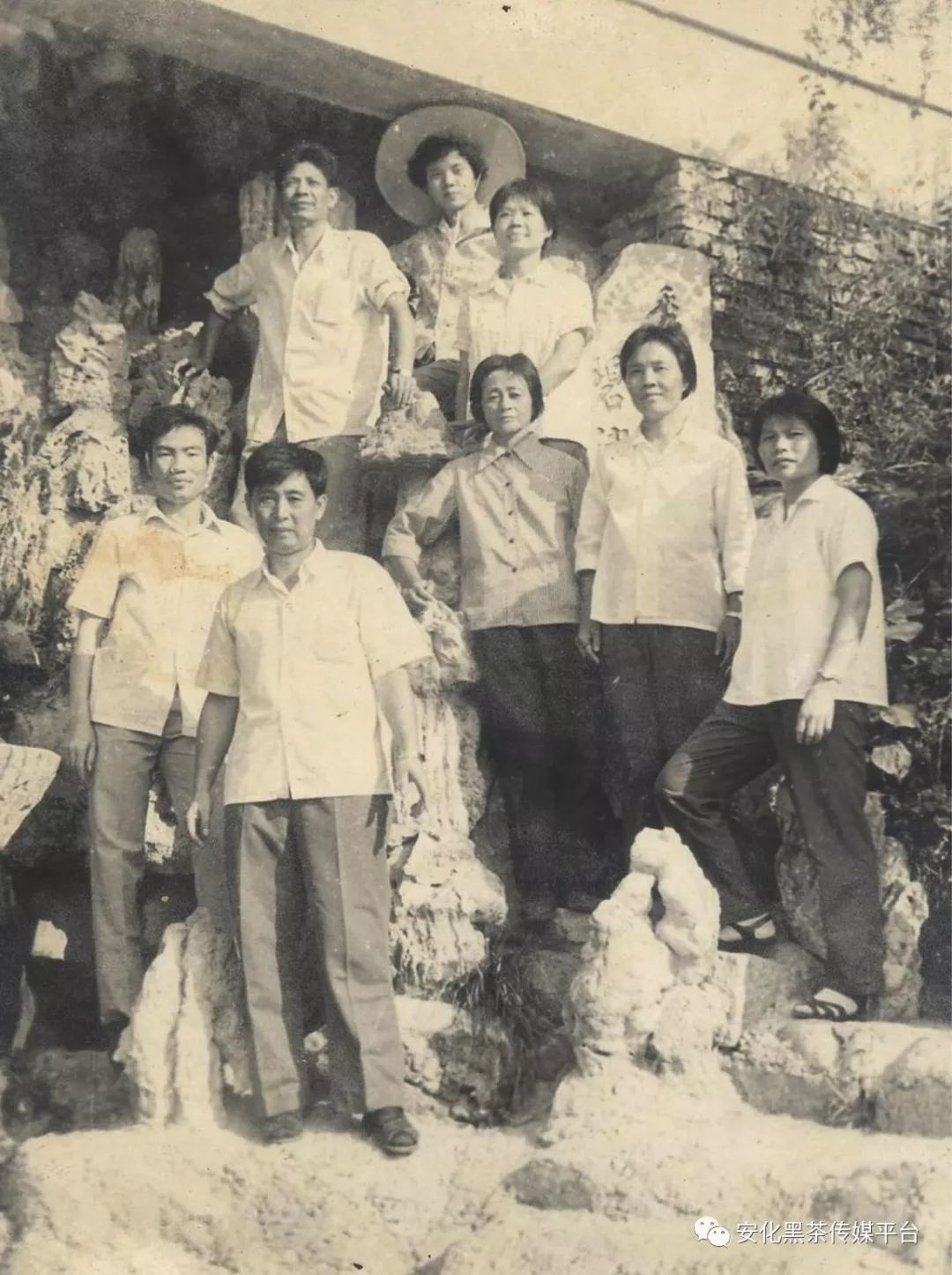 黑茶王国的元勋（连载三）：黑茶的国家标准是这样炼成的