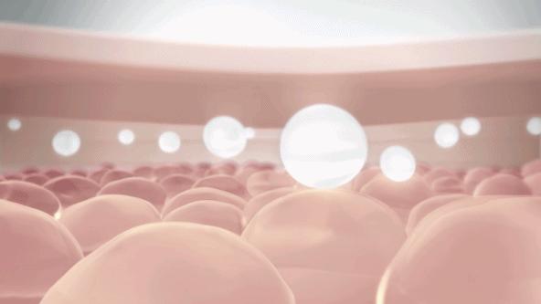 抬头纹眉间纹怎么去除,眉间纹抬头纹去除最好的方法