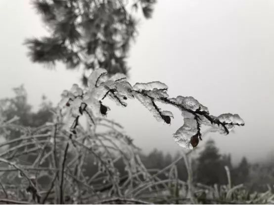 遵义冬天周边游二日游推荐,遵义冬游