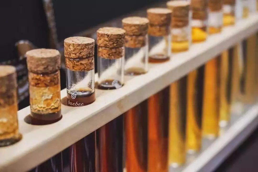 劲草嘉年华最新视频,2023年劲草嘉年华