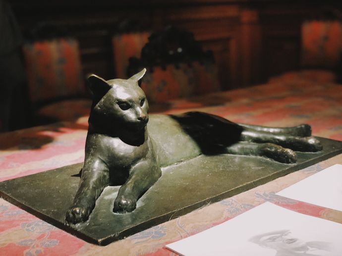 各种猫咪的博物馆,猫咪博物馆都有哪些猫