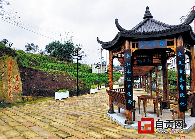 自贡农村振兴发展,丰年人乐业踏歌行