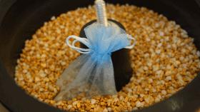 鲜活蚌珍珠探店,珍蚌开蚌珍珠diy体验馆从化