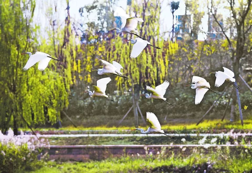 郑州的城运,郑州城运拐点