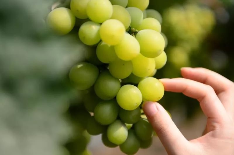 去一趟横溪，感受大型真香现场！