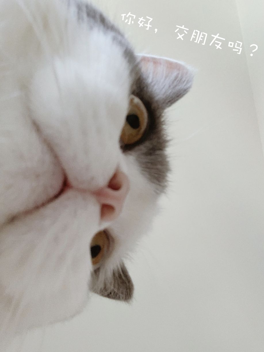 HomewithSS|我也想睡在云上呀