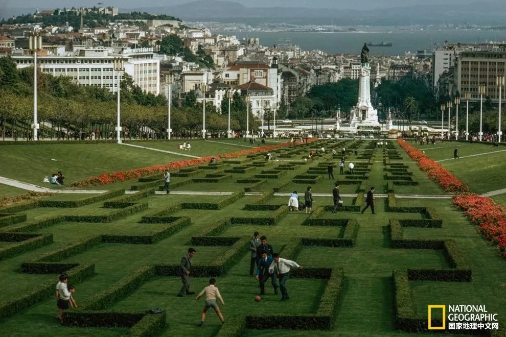 球进了,球进了吗