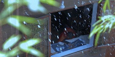 李子柒央视采访年度人物,央视评价李子柒启示