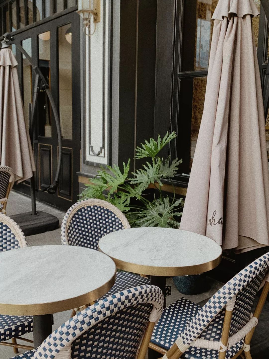 上海冬日最冷气温,上海冬日最冷温度