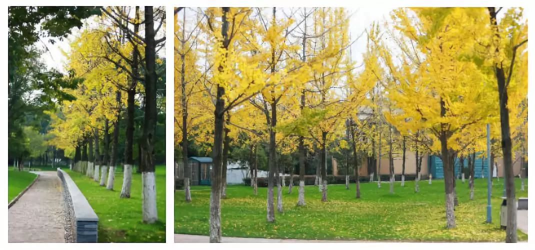 义乌最美的风景区是哪,义乌佛堂网红打卡地