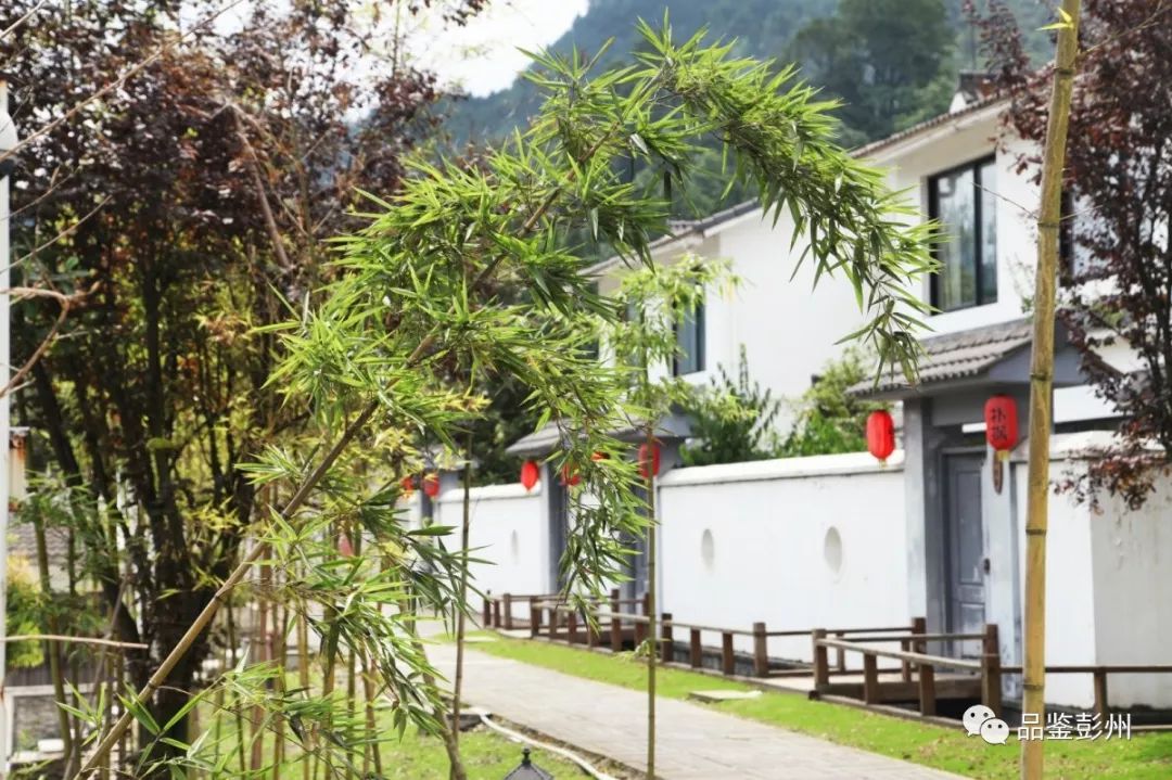 彭州看雪泡温泉,彭州泡汤