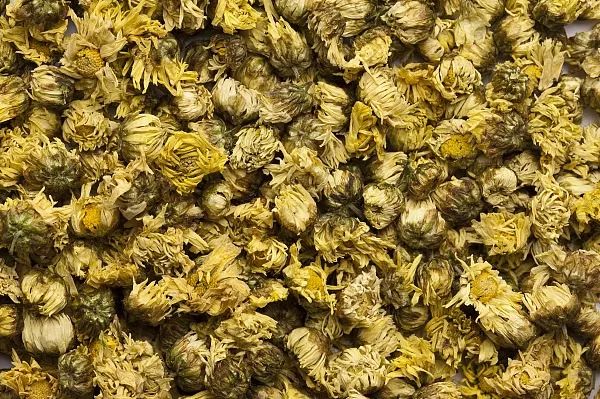 喝菊花茶可以清热解毒吗,清热去火喝菊花茶好还是胎菊好