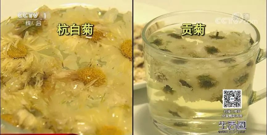 喝菊花茶可以清热解毒吗,清热去火喝菊花茶好还是胎菊好