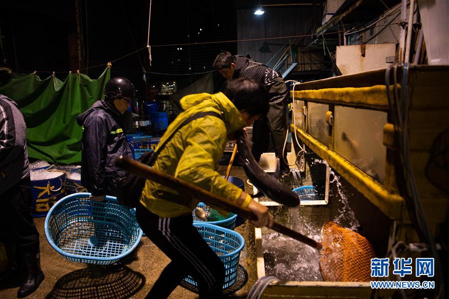 瀹跺湪婢抽棬鐨勬境闂ㄤ紒涓氬,瀹跺湪婢抽棬