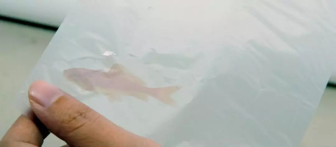 这个遥控器叫“挤粉刺”，按的时候就像我们在挤自己的青春痘