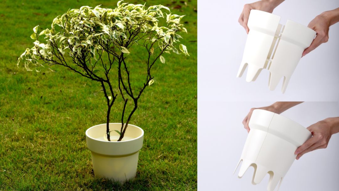 这个遥控器叫“挤粉刺”，按的时候就像我们在挤自己的青春痘