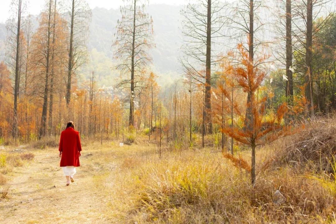 长沙梅溪湖拍照的网红打卡地,长沙梅溪湖网红打卡地在哪个站下