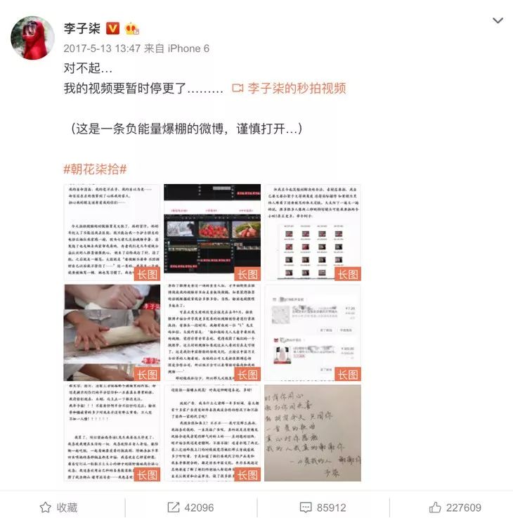 李子柒央视说最想做的三件事,李子柒受到央视表扬