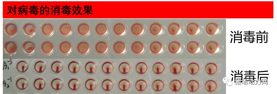 幻影360分子悬浮消毒机消毒原理,幻影360分子悬浮消毒机使用方法