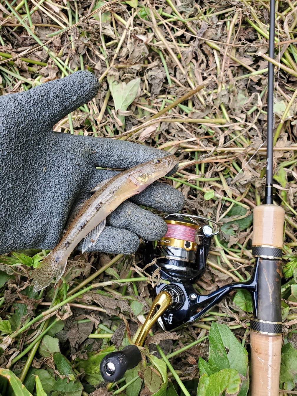 路亚打竿新手入门教程,新手路亚打翘嘴视频教程