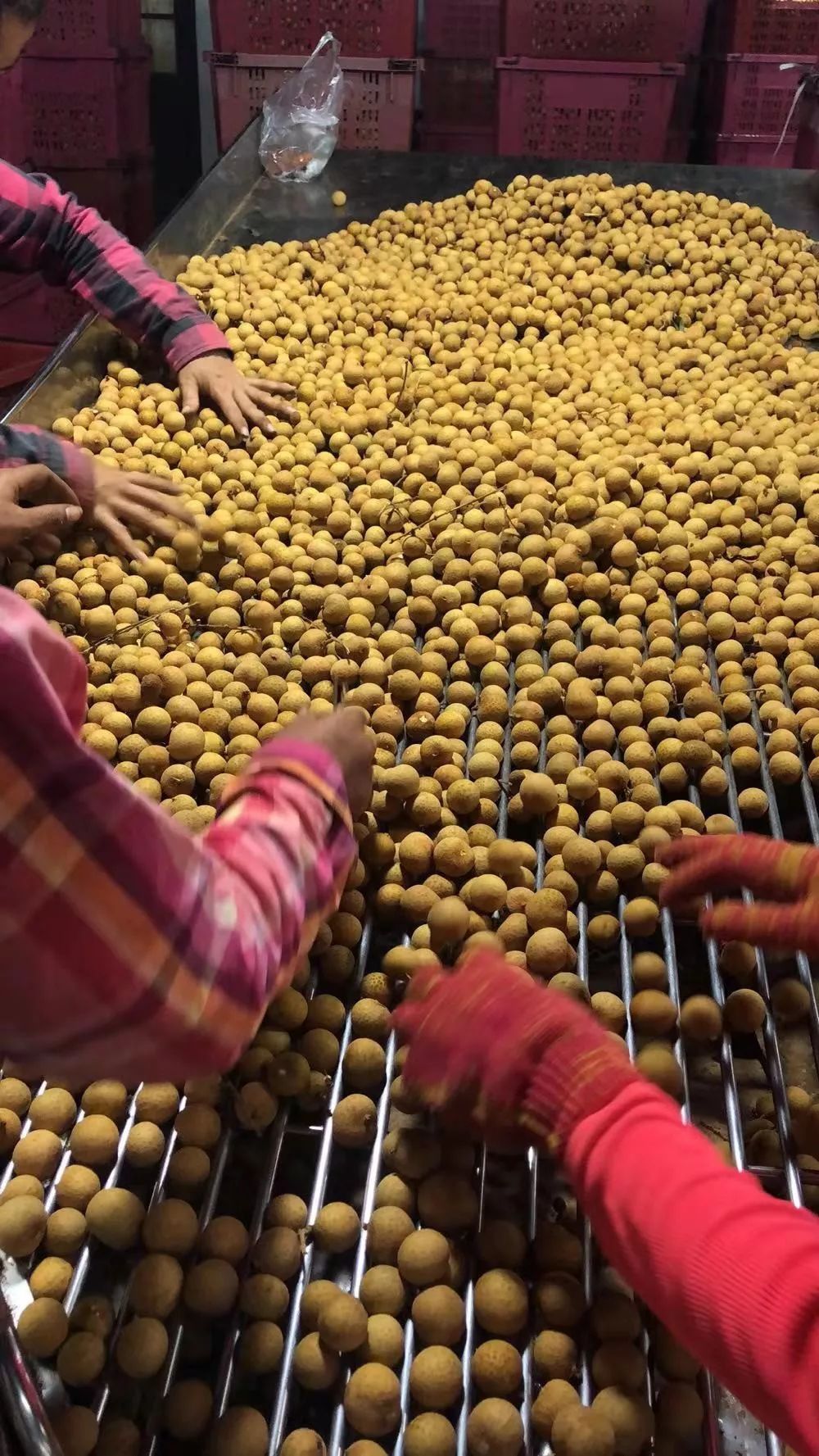 “泰”甜“泰”美！太便宜