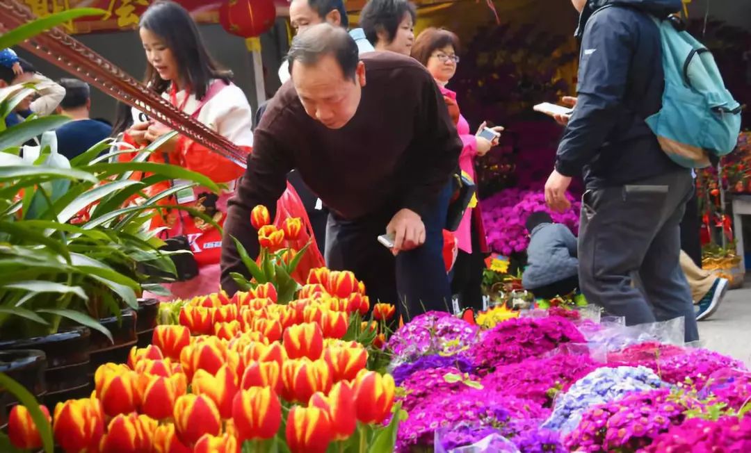 广州迎春花市哪里值得去,广州迎春花市指南