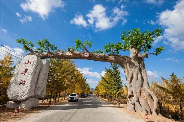 莱州市郭家店镇小草沟村,山东莱州郭家店小草沟村