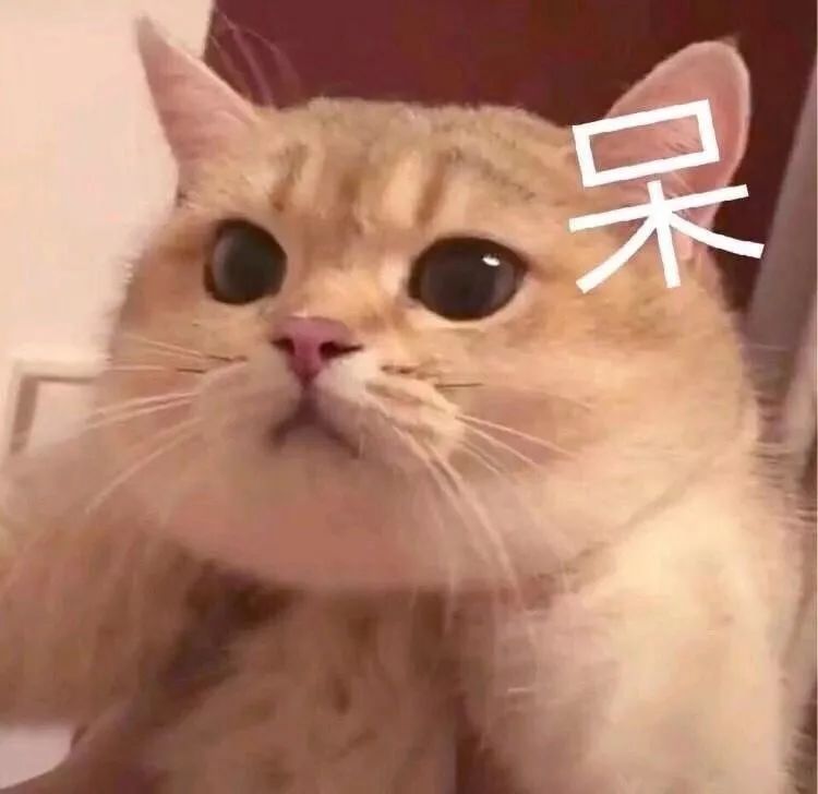 热议｜在幸福来临前，得先过婚检这一关（内含福利）