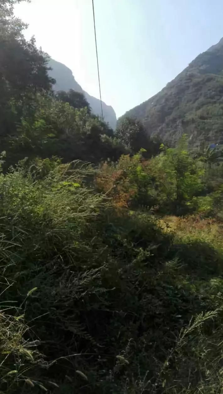 峪的读音和含义,峪的意思和含义