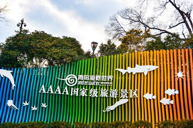 猝不及防闯入你的容颜|你好,青岛