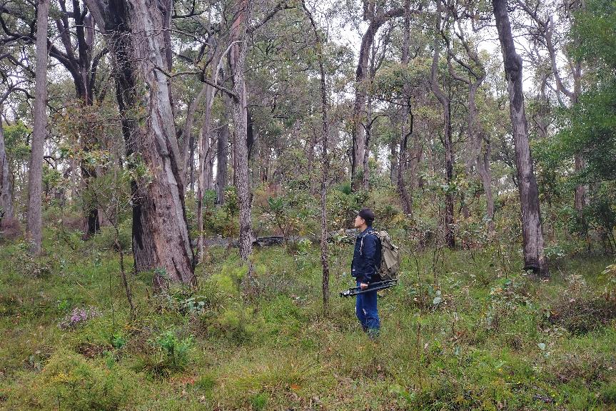 深邃的探索之旅摄影师的最佳助手-PROTREKPRT-B50