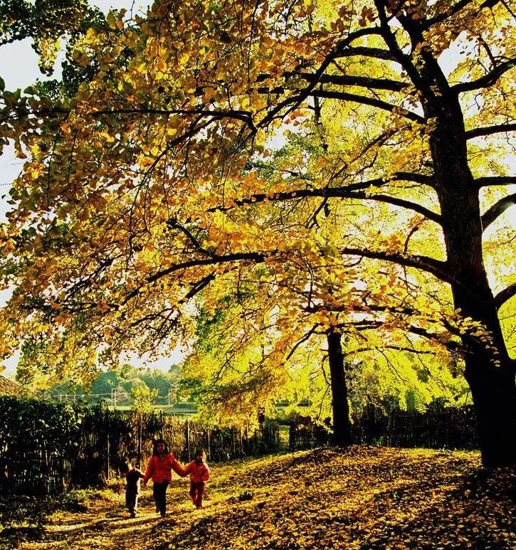 2020骞翠綑棰濆凡涓嶈冻,2019骞村凡浣欓涓嶈冻