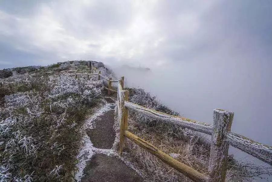 2020骞翠綑棰濆凡涓嶈冻,2019骞村凡浣欓涓嶈冻