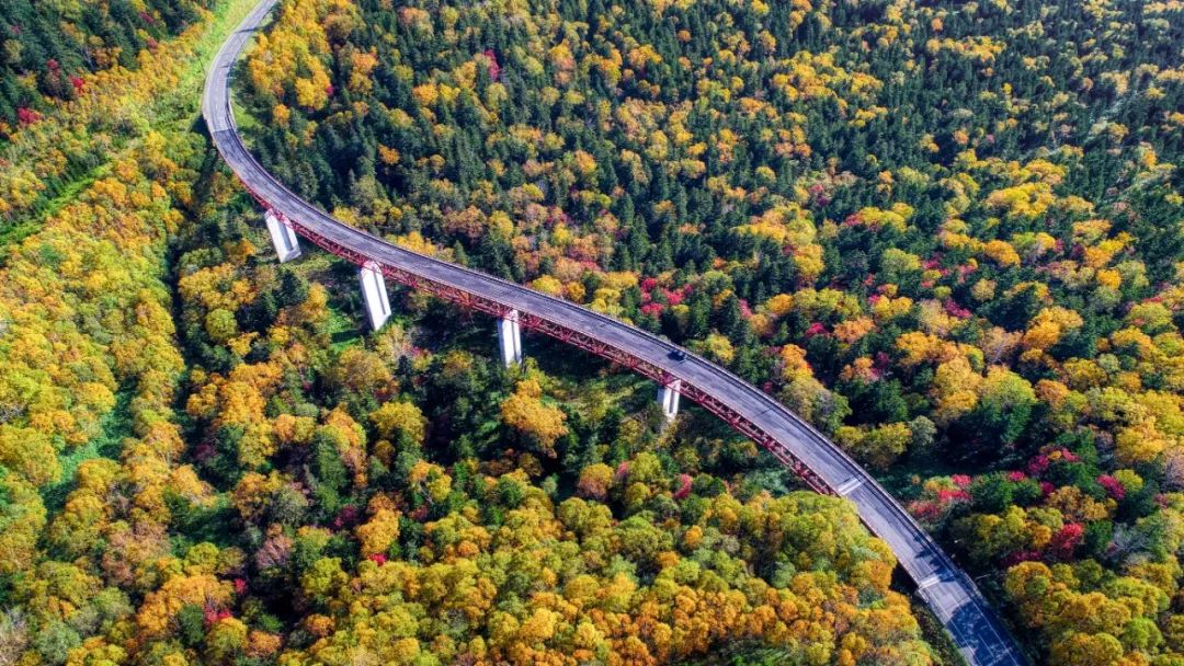 北海道是怎么成为日本的,北海道到底有多强大