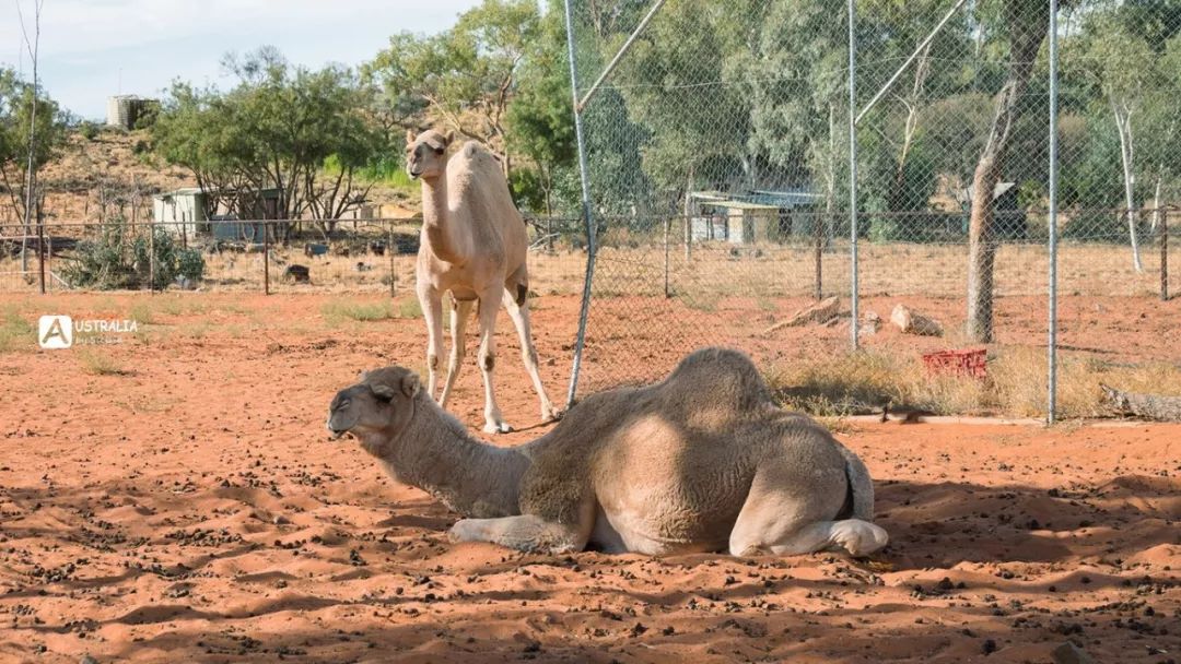澳洲必去的几个地方,澳大利亚哪些景点值得去